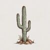 westerncactus
